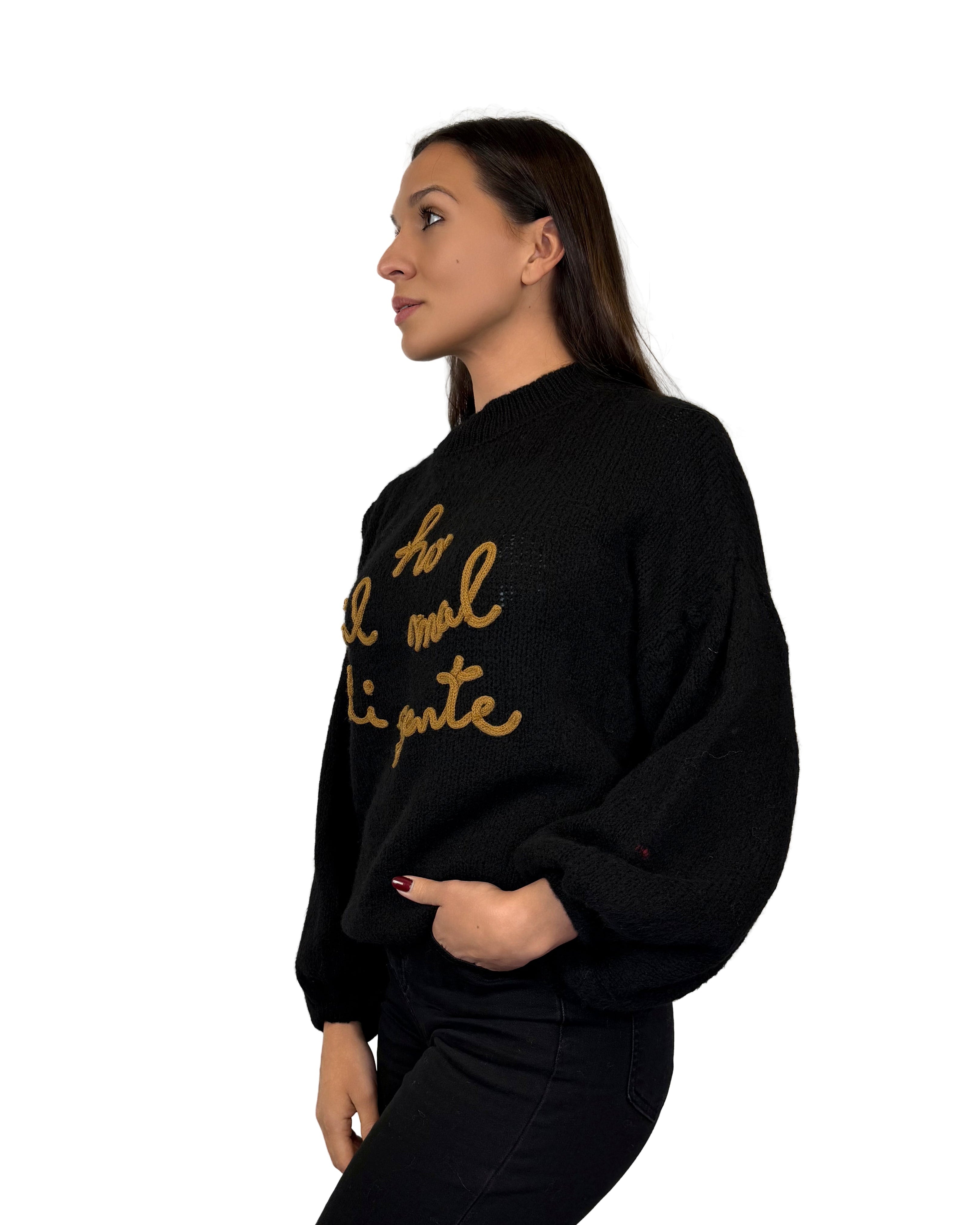 Maglione HO SEMPRE RAGIONE - MA2601